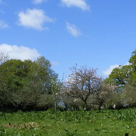 Chateau De Flottemanville